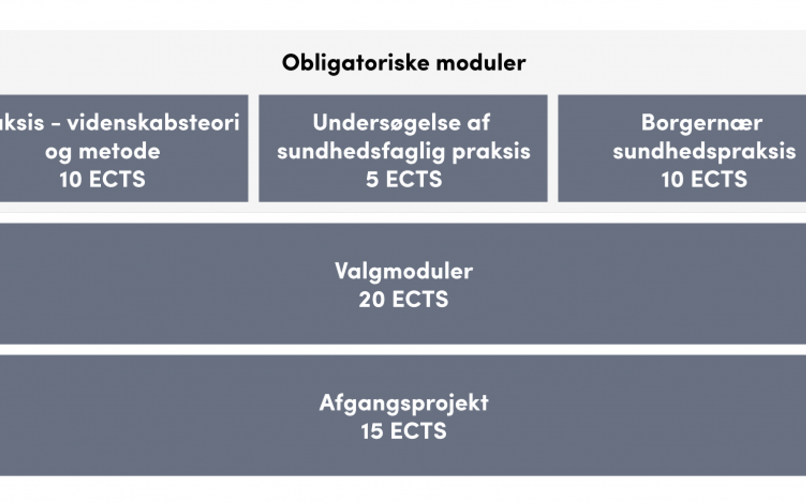 Sundhedsfaglig-diplom---i-Borgernær-sundhed-Sundhedsfaglig-diplom-i-borgernær-sundhed-www.png