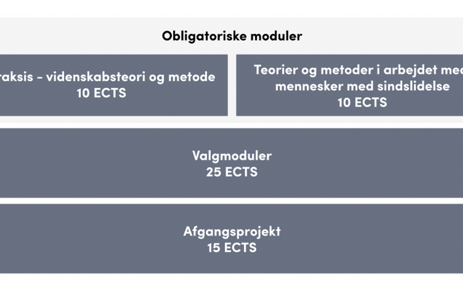 Diplom-i-psykiatri-Diplom-i-psykiatri-www.png