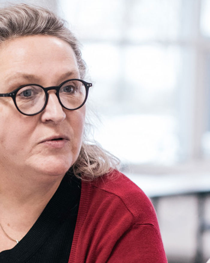 Professionelle læringsfællesskaber.jpg